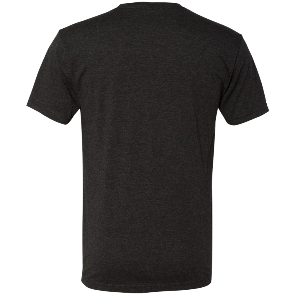 Next Level Adult Triblend Tee